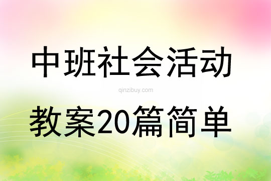 中班社会活动教案20篇简单