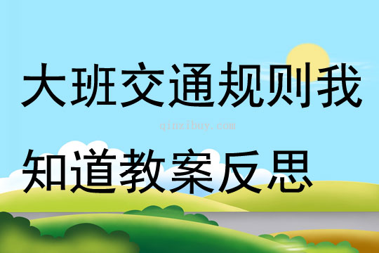 大班社会公开课交通规则我知道教案反思