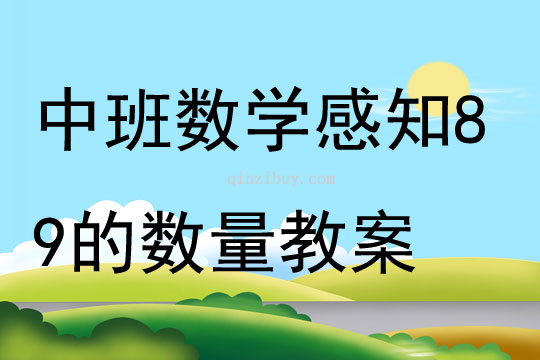 中班数学感知89的数量教案