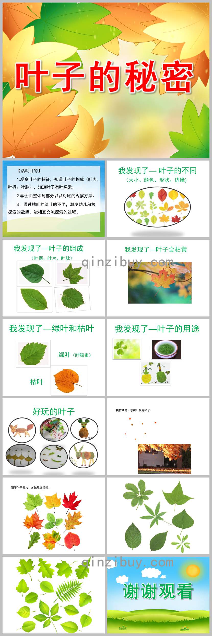 中班科学活动叶子的秘密PPT课件教案