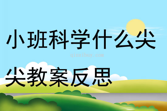 小班科学什么尖尖教案反思
