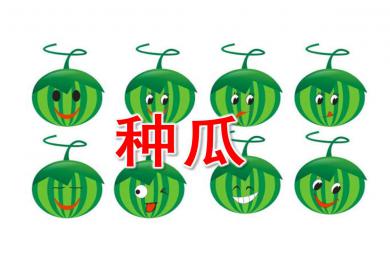 小班音乐种瓜PPT课件教案