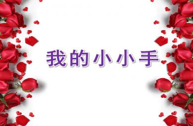 托班我的小小手PPT课件教案
