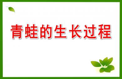 大班科学课件青蛙的生长PPT课件教案