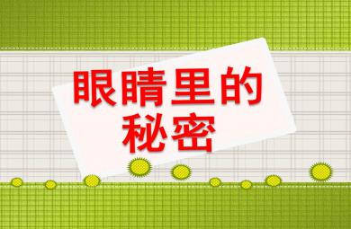 眼睛的秘密PPT课件教案图片