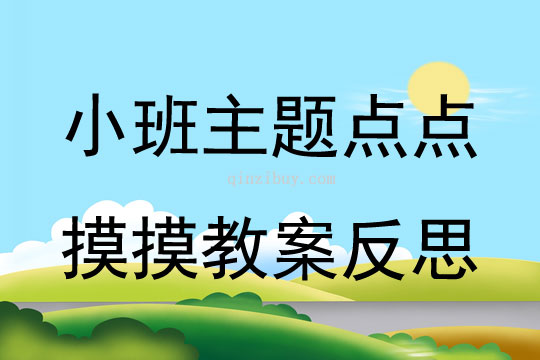 小班主题点点摸摸教案反思