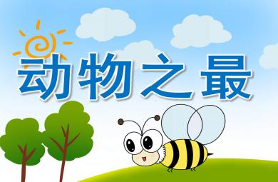 小班动物之最PPT课件教案
