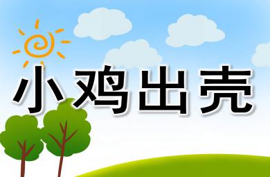 小鸡出壳PPT课件教案图片