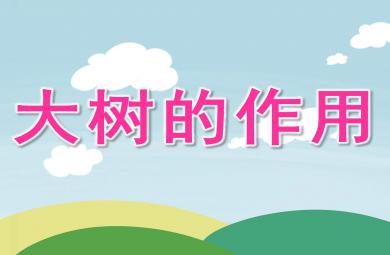 中班科学大树的作用PPT课件教案图片