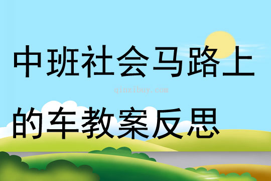 中班社会公开课马路上的车教案反思
