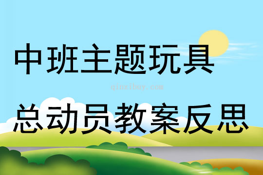 中班主题玩具总动员教案反思