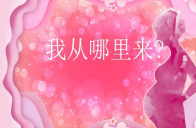 大班科学活动我从哪里来PPT课件教案