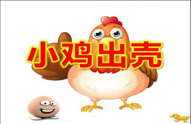 小班音乐公开课小鸡出壳PPT课件教案