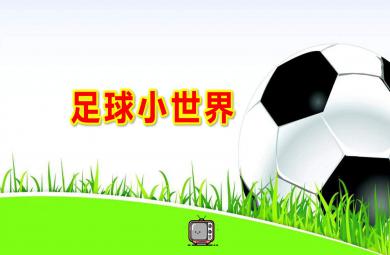 幼儿园足球小世界PPT课件教案图片
