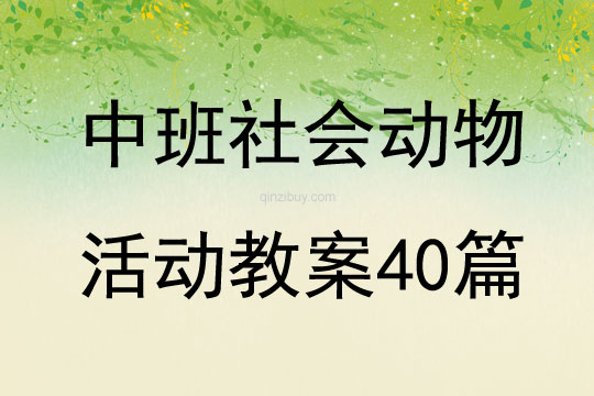 中班社会动物活动教案40篇