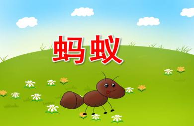 幼儿园蚂蚁PPT课件教案图片