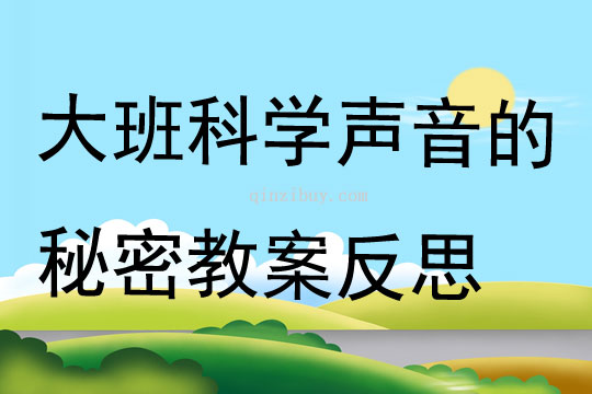 大班科学公开课声音的秘密教案反思