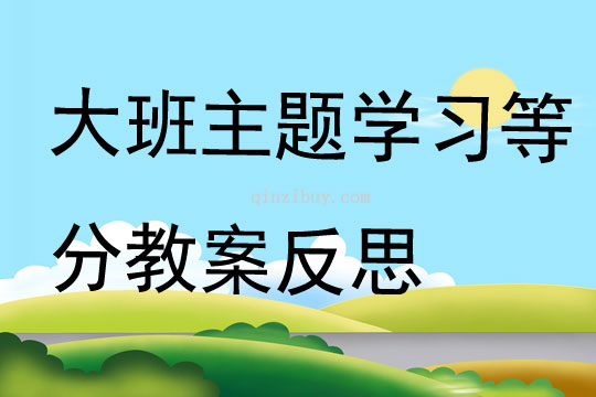 大班主题学习等分教案反思