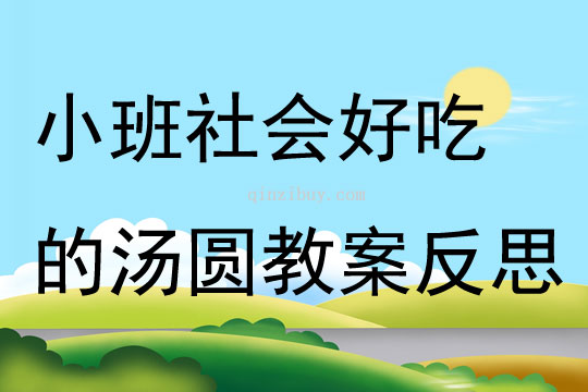 小班社会好吃的汤圆教案反思