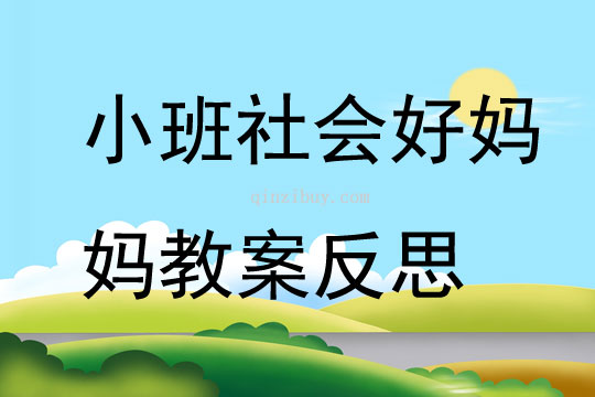 小班社会公开课好妈妈教案反思
