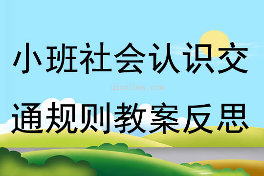 小班社会认识交通规则教案反思