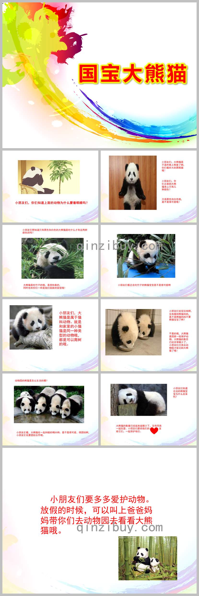 中班科学国宝大熊猫PPT课件教案