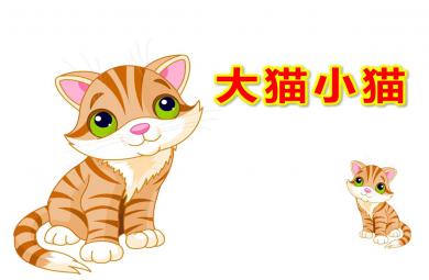 小班数学大猫小猫PPT课件教案