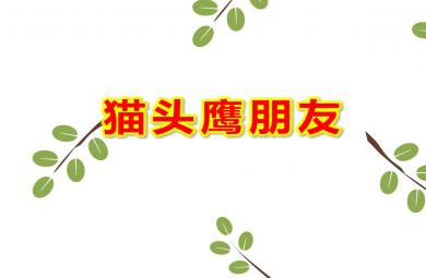 大班美术猫头鹰朋友PPT课件教案