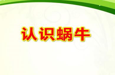 小班认识蜗牛PPT课件教案图片