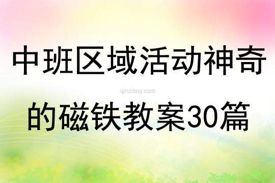 中班区域活动神奇的磁铁教案30篇