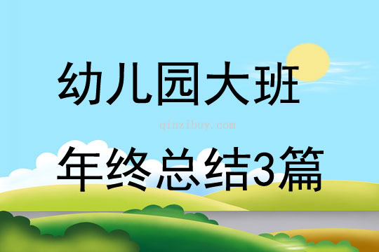 幼儿园大班年终总结3篇