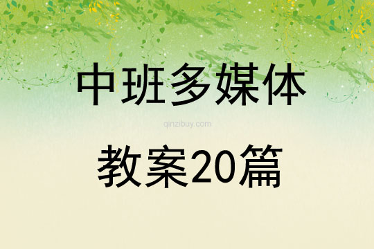 中班多媒体教案20篇