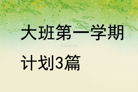 大班第一学期计划3篇