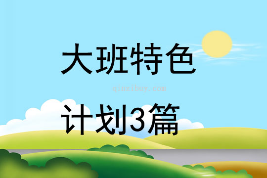 大班特色计划3篇