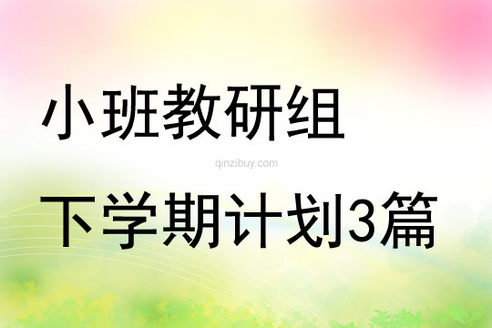 小班教研组下学期计划3篇