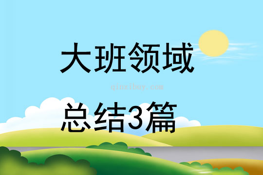 大班领域总结3篇