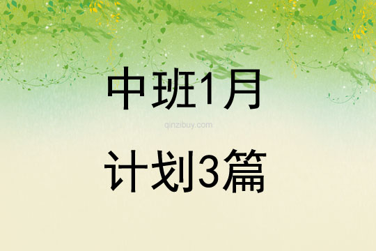 中班1月计划3篇