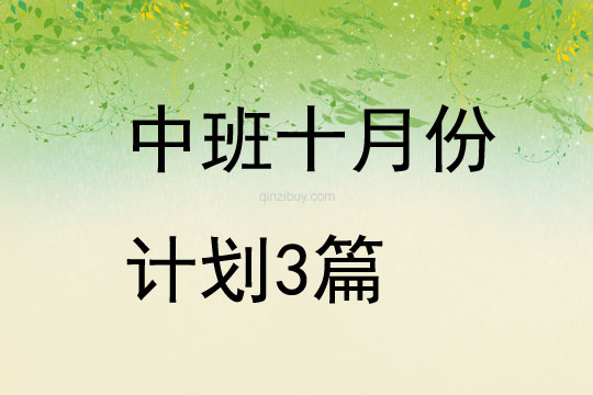 中班十月份计划3篇