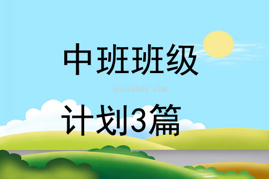 中班班级计划3篇