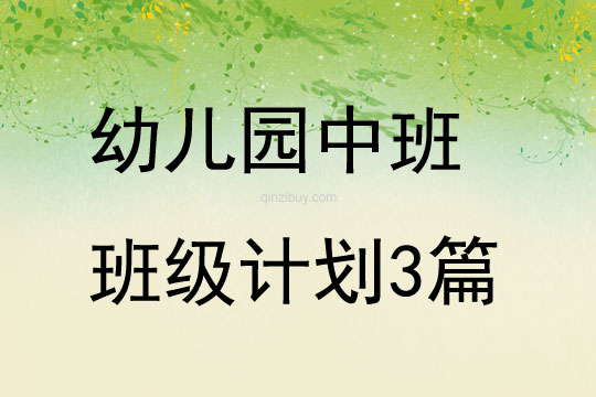 幼儿园中班班级计划3篇