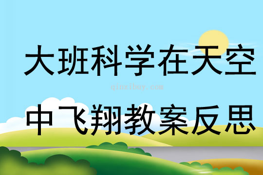大班科学在天空中飞翔教案反思