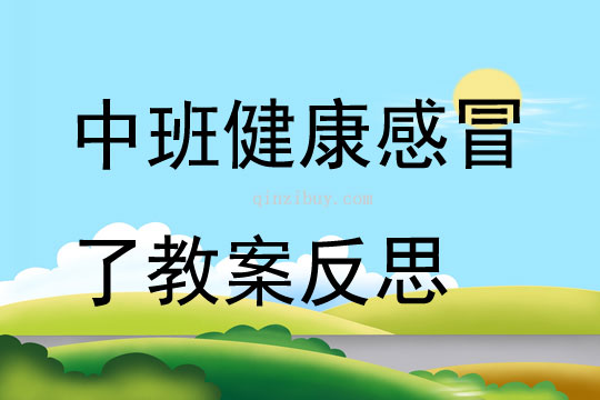 中班健康感冒了教案反思