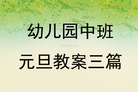 幼儿园中班元旦教案三篇