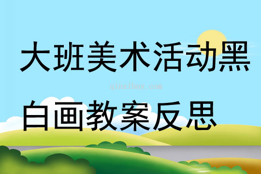 大班美术活动黑白画教案反思