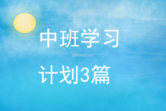 中班学习计划3篇