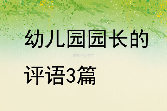 幼儿园园长的评语3篇