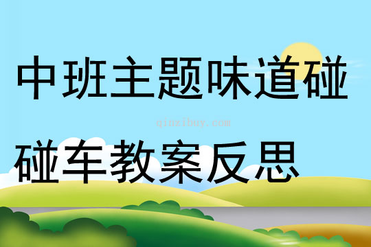 中班主题味道碰碰车教案反思