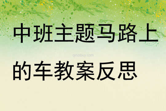 中班主题公开课马路上的车教案反思