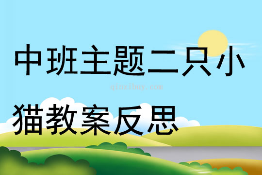 中班主题公开课二只小猫教案反思