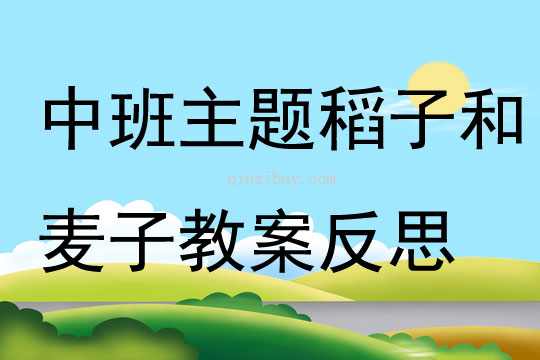 中班主题稻子和麦子教案反思